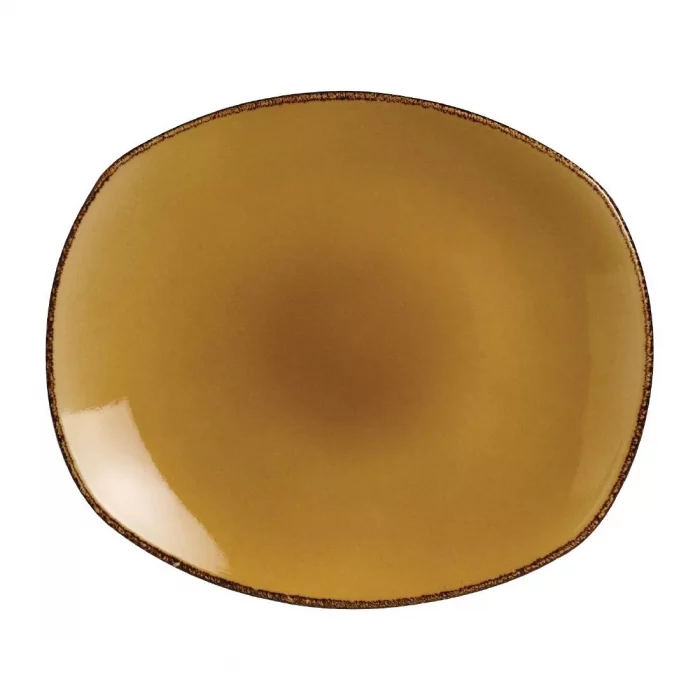 Steelite Terramesa Mustard Spice Plates 305mm (Pack of 12) - Image 1