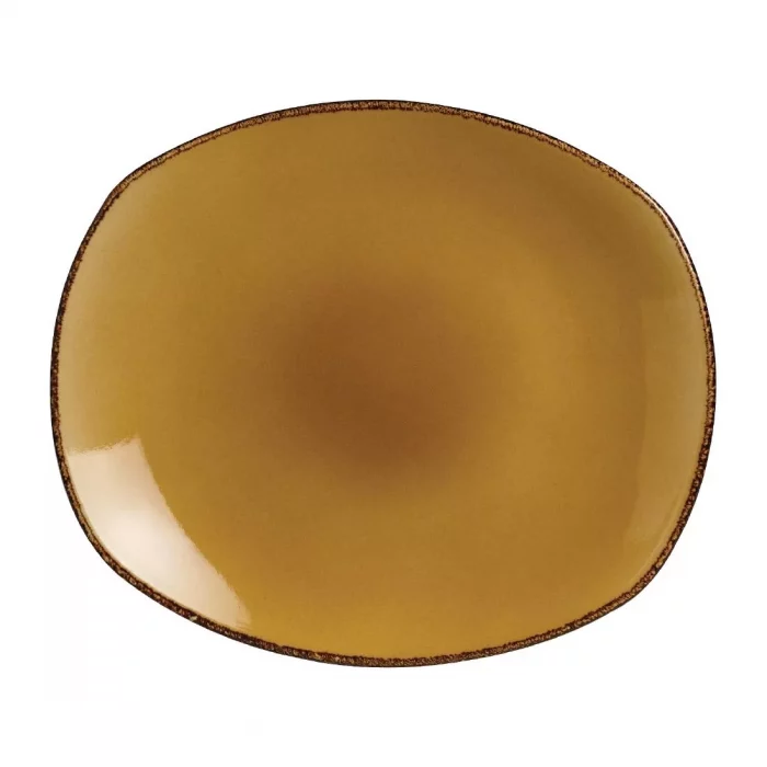 Steelite Terramesa Mustard Spice Plates 255mm (Pack of 24) - Image 1