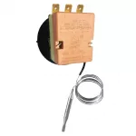 Buffalo Thermostat - Image 2