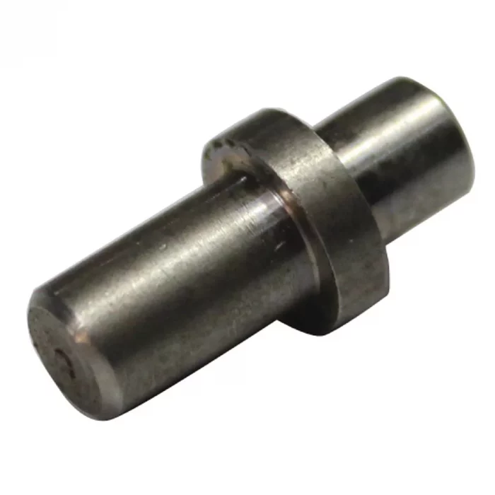 Buffalo Door Pin - Image 1