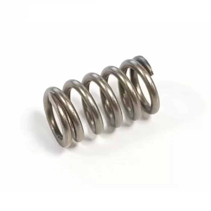 Santos Safety Spring - Image 1