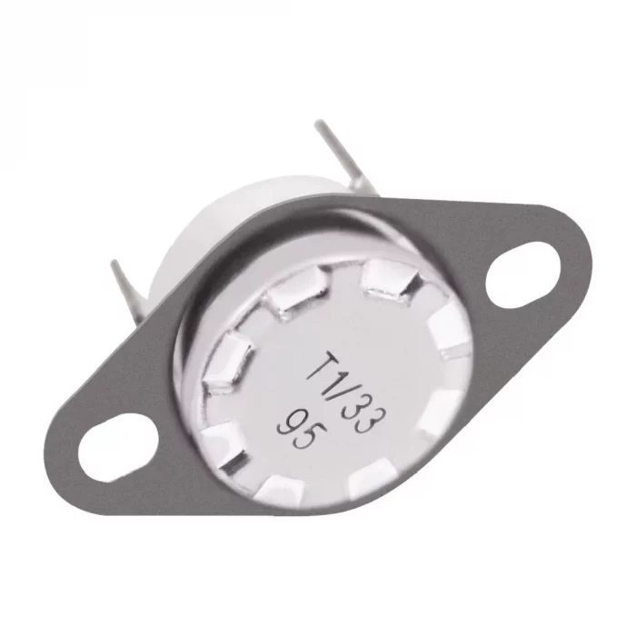 Buffalo Thermostat - Image 1