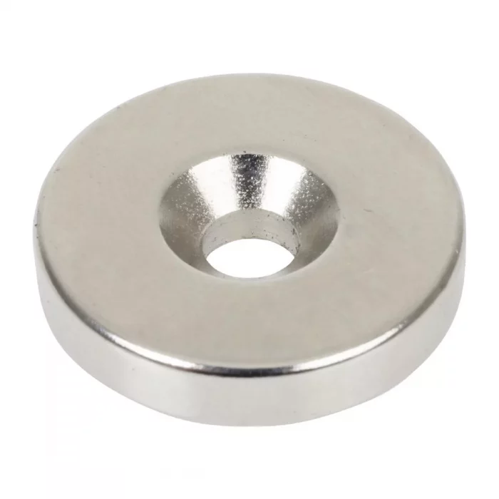 Buffalo Magnet - Image 1