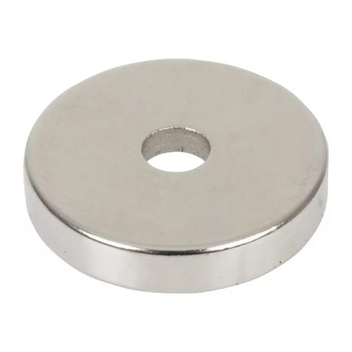 Buffalo Magnet - Image 2