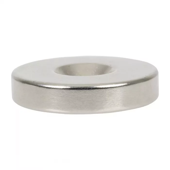 Buffalo Magnet - Image 3