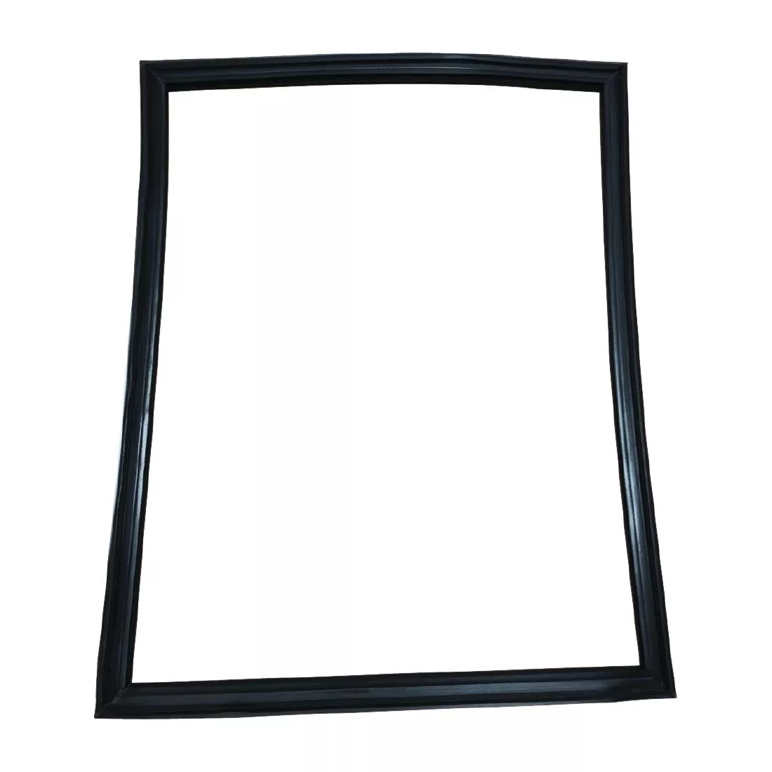 aj755_spare.jpg Polar Door Seal - Image 1