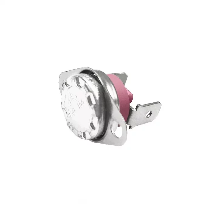 Buffalo Thermostat - Image 1