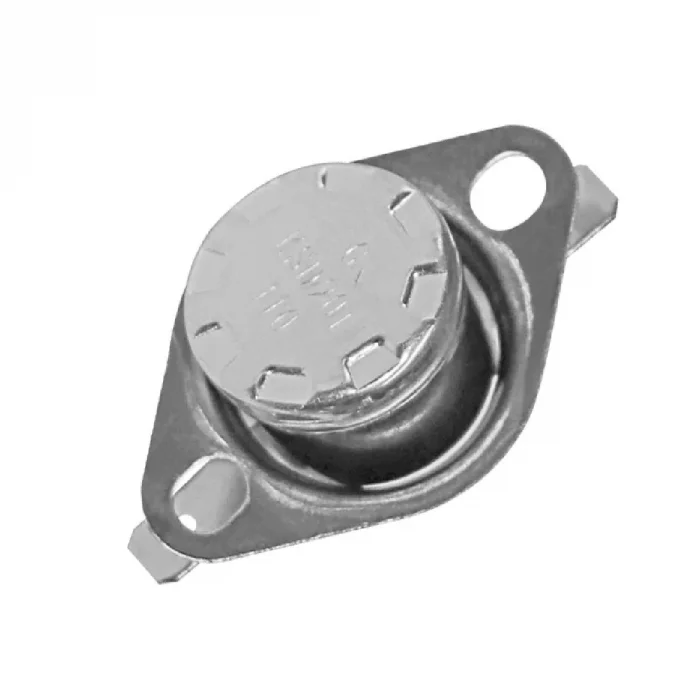 Buffalo Thermostat - Image 1