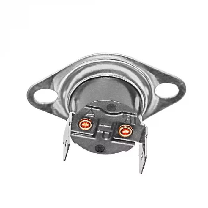 Buffalo Thermostat - Image 1