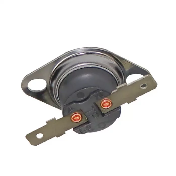 Buffalo Thermostat - Image 1