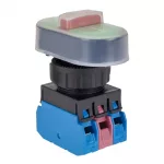 Buffalo Switch - Image 3