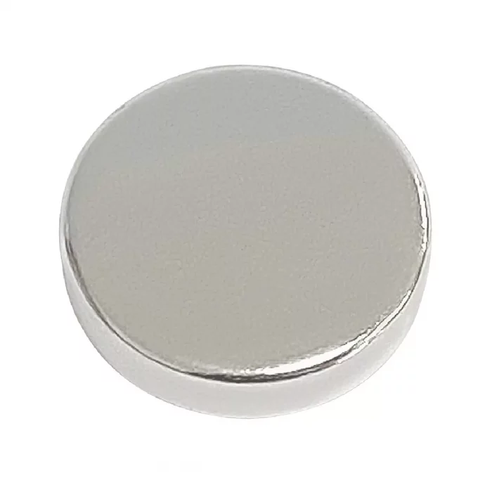 Buffalo Magnet - Image 1