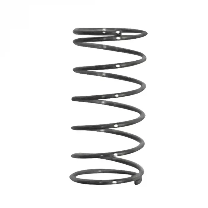 Buffalo Spring - Image 1