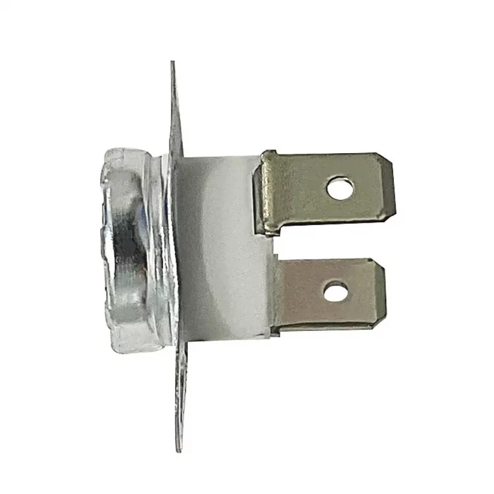 Buffalo Thermostat - Image 1