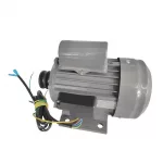Polar Electric Motor