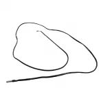 Polar Temperature Sensor