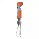 Dynamic Mini Cordless Whisk FT010