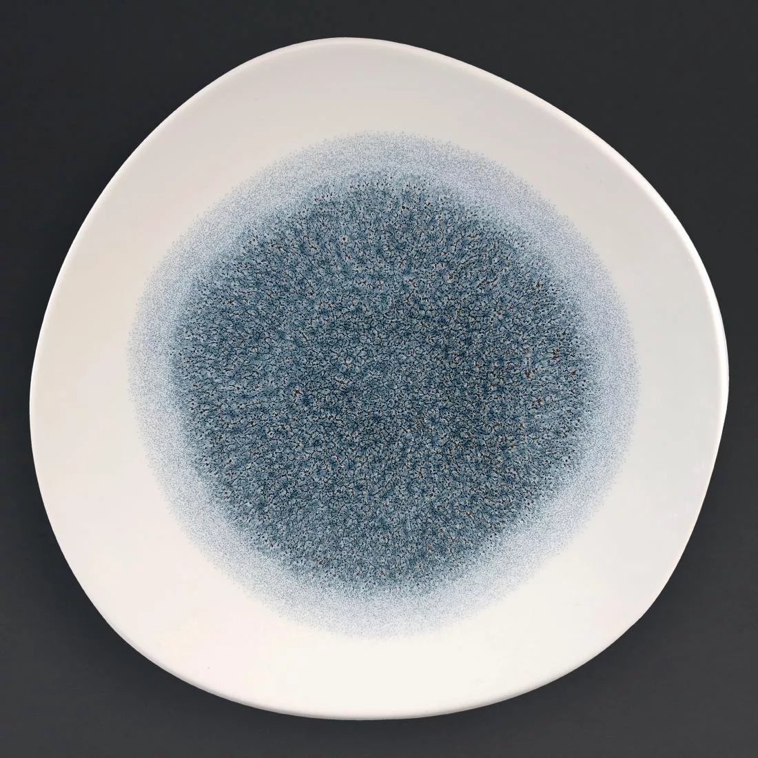 dc731_churchillraku.jpg Churchill Studio Prints Raku Round Trace Plates Topaz Blue 264mm (Pack of 12) - Image 1