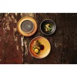 Olympia Canvas Small Rim Round Plate Sienna Rust 265mm (Pack of 6) - Image 9
