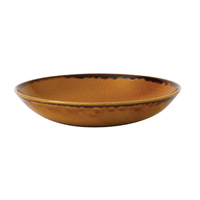 Dudson Harvest Evolve Coupe Bowls Brown 248mm (Pack of 12) - Image 2