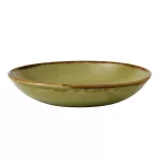 Dudson Harvest Evolve Coupe Bowls Green 248mm (Pack of 12) - Image 2