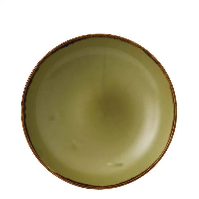 Dudson Harvest Evolve Coupe Bowls Green 248mm (Pack of 12) - Image 1