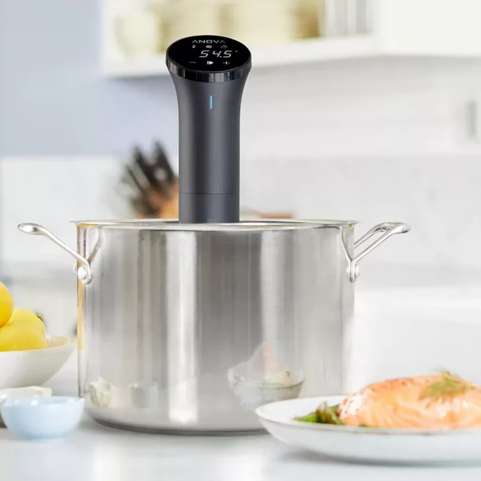 Anova Precision Cooker Nano 220V - Image 4