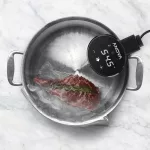 Anova Precision Cooker Nano 220V - Image 5