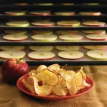 Excalibur 9 Tray Black Dehydrator with Timer 4926TB - Image 3