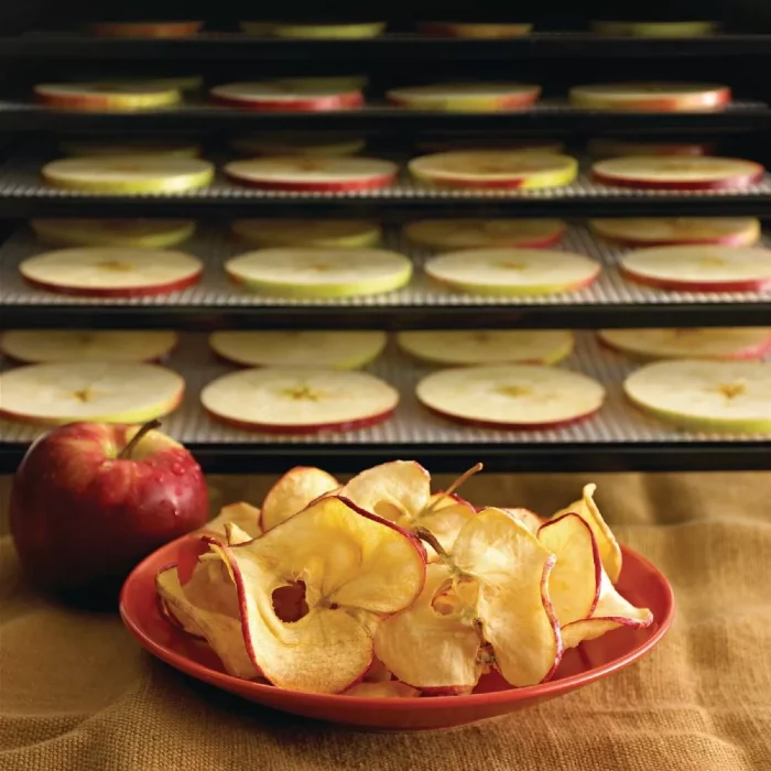 Excalibur 9 Tray Black Dehydrator with Timer 4926TB - Image 3