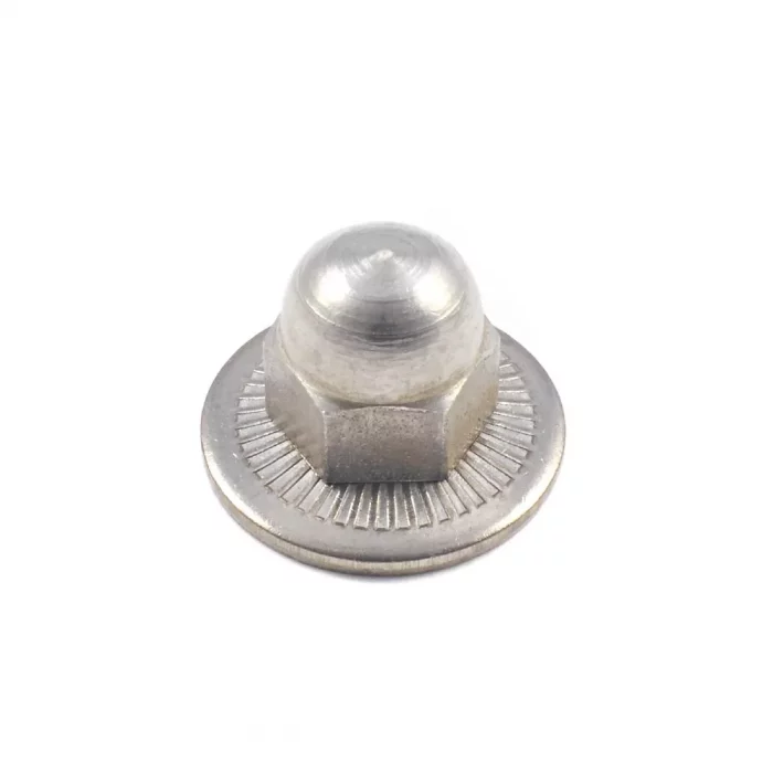 Cap Nut - Image 1