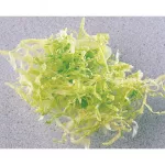 Robot Coupe 2mm Slicer Disc - Ref 27555 - Image 3