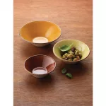 Steelite Terramesa Mustard Essence Bowls 202mm (Pack of 24) - Image 3