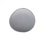 Steelite Scape Glass Platters 250mm (Pack of 12)
