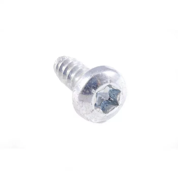 Screw for Foot - Image 1