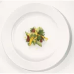 Churchill Alchemy Jardin Plates 165mm (Pack of 12) - Image 2