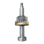 Buffalo Worm Gear Assembly