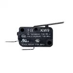 Buffalo Micro Switch