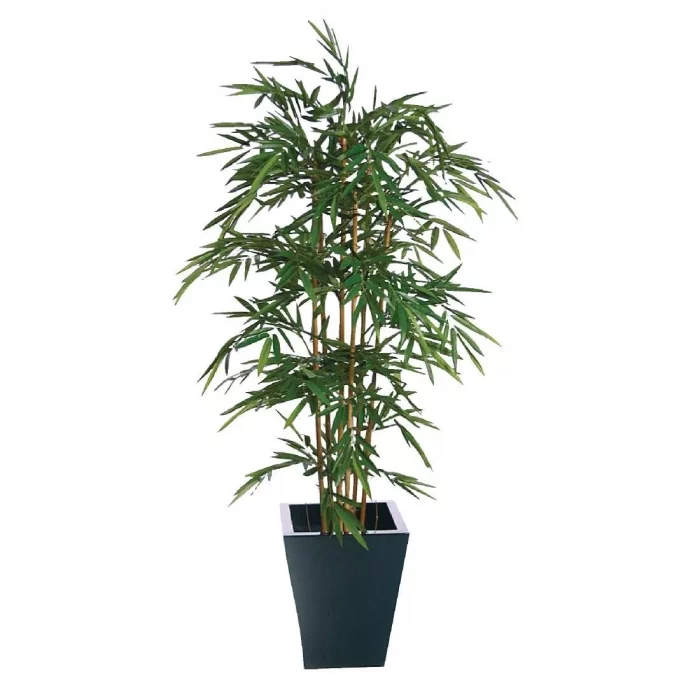 Natural Bamboo 1200mm - Image 1