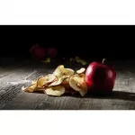 Waring Commercial 10 Tray Dehydrator - Image 4