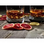 Waring Commercial 10 Tray Dehydrator - Image 5