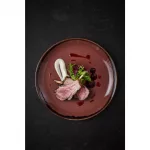 Dudson Harvest Plum Coupe Plate 11.25 inch Box 12 - Image 3