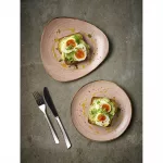 Churchill Stonecast Raw Terracotta Evolve Coupe Plate 286mm (Pack of 12) - Image 3