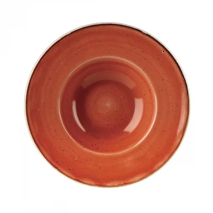 Churchill Stonecast Round Wide Rim Bowls Spiced Orange 239mm - Image 1