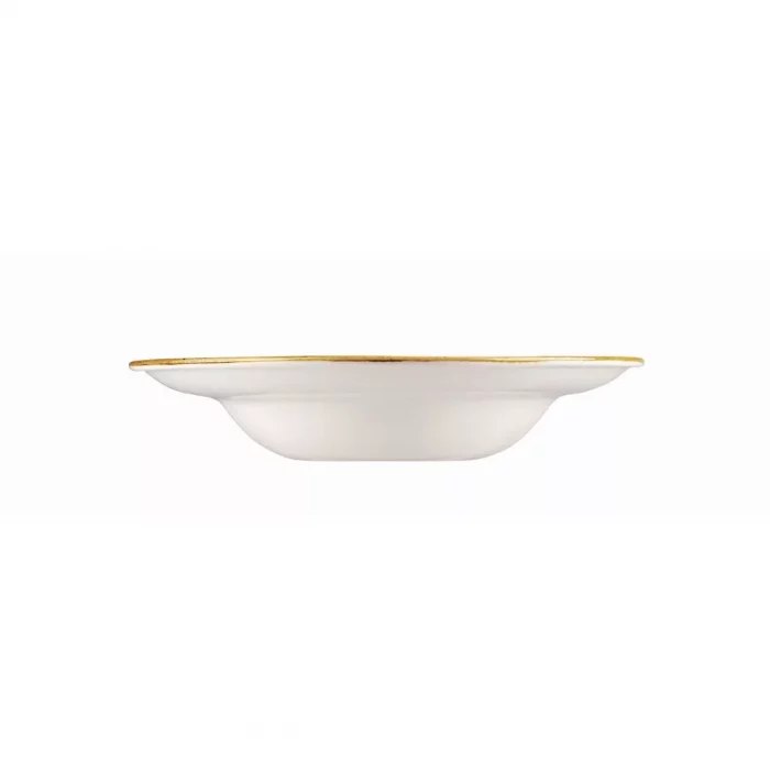 Churchill Stonecast Round Wide Rim Bowl Duck Egg Blue 280mm (Pack of 12) - Image 2