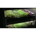 Evogro Plant Growing System 40132-WS L - Image 4