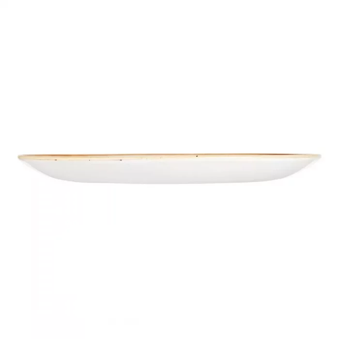 Churchill Stonecast Round Coupe Plate Duck Egg Blue 260mm (Pack of 12) - Image 2