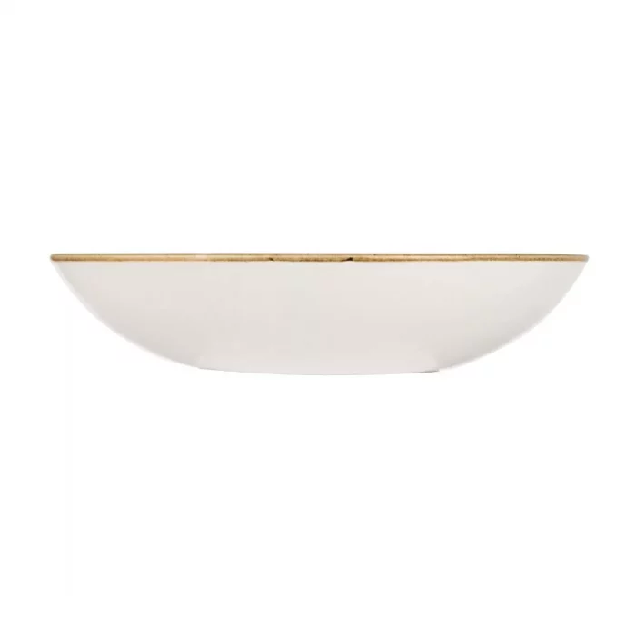 Churchill Stonecast Round Coupe Bowl Duck Egg Blue 200mm (Pack of 12) - Image 2