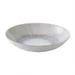 Churchill Studio Prints Fusion Grey Coupe Plate 248mm (Pack of 12) - Image 2