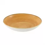 Churchill Stonecast Tangerine Coupe Bowl 248mm (Pack of 12) - Image 2